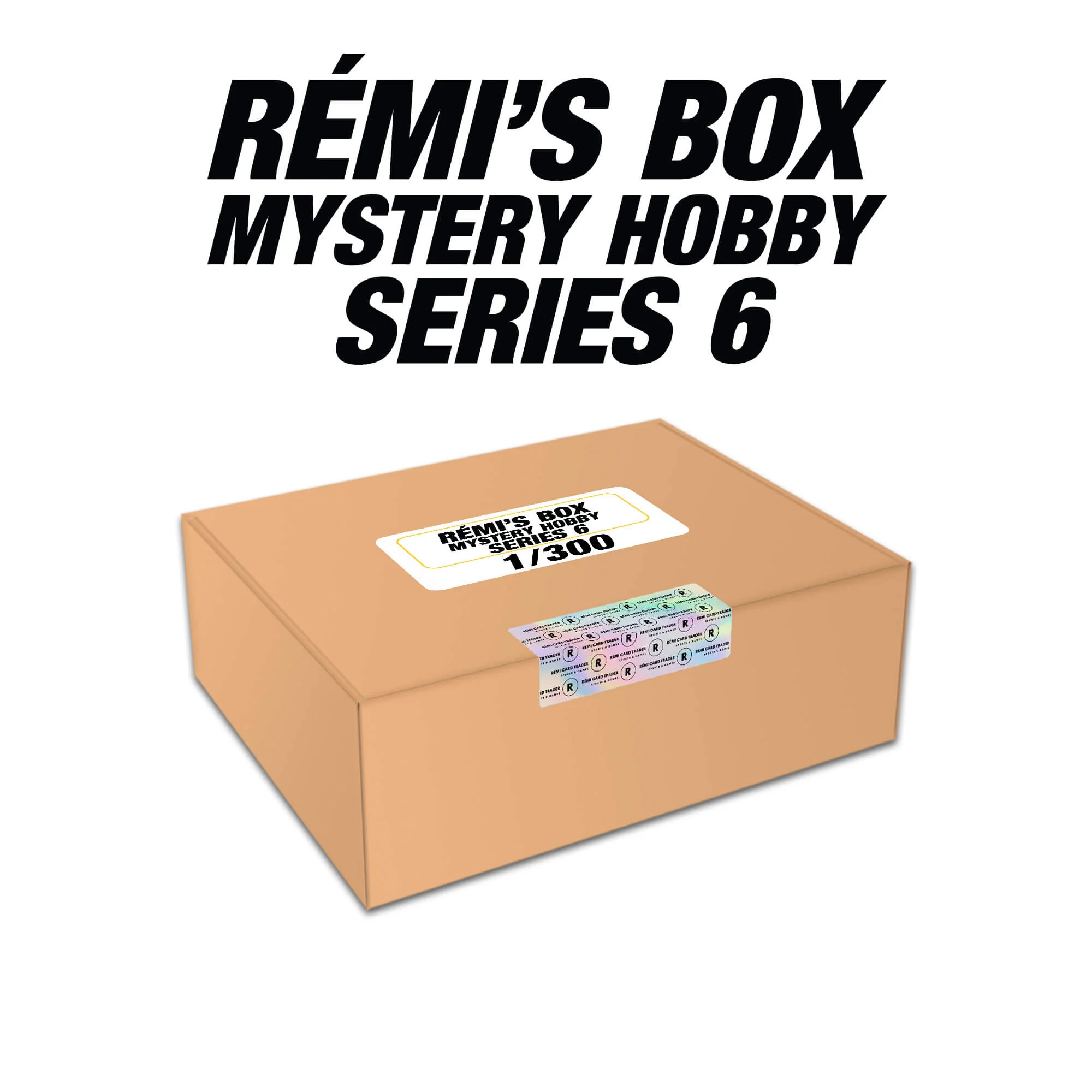 Rémi's Box Mystery Hobby Series 6 (23 janvier 2025 à 12h15)